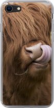Telefoonhoesje Geschikt voor iPhone 8 hoesje - Schotse Hooglander - Bruin - Koe - Siliconen Telefoonhoesje