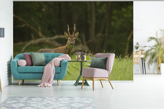 Papier peint photo peint photo vinyle - Cerf broutant largeur 420 cm x hauteur 280 cm - Tirage photo sur papier peint (disponible en 7 tailles)