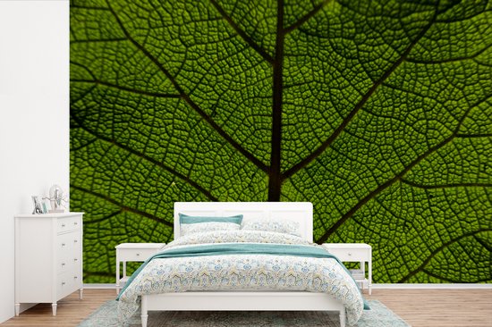 Papier peint photo peint photo vinyle - Veines des feuilles largeur 330 cm x hauteur 220 cm - Tirage photo sur papier peint (disponible en 7 tailles)