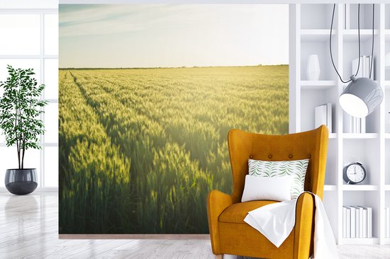 Behang - Fotobehang Landbouw in de vroege ochtend - Breedte 240 cm x hoogte 240 cm