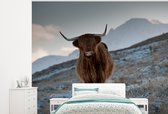 Behang - Fotobehang Schotse hooglander - Landschap - Schotland - Breedte 325 cm x hoogte 260 cm