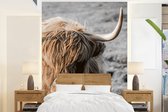 Behang - Fotobehang Schotse hooglander - Dier - Portret - Breedte 195 cm x hoogte 260 cm