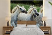 Behang - Fotobehang Paarden - Water - Natuur - Breedte 220 cm x hoogte 220 cm