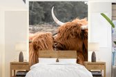 Behang - Fotobehang Schotse hooglanders - Dieren - Liefde - Breedte 195 cm x hoogte 260 cm
