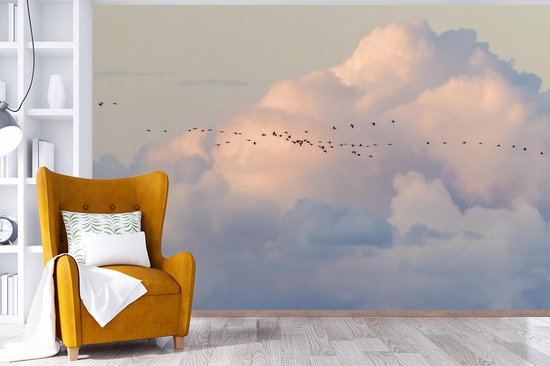 Volée d'oiseaux dans le ciel 600x400 cm