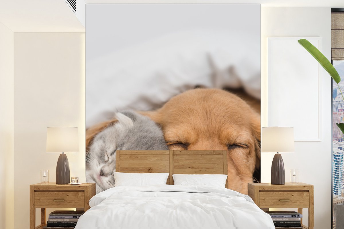 Behang - Fotobehang huisdieren - hond - Kat - Deken - Breedte 160 cm x hoogte 220 cm