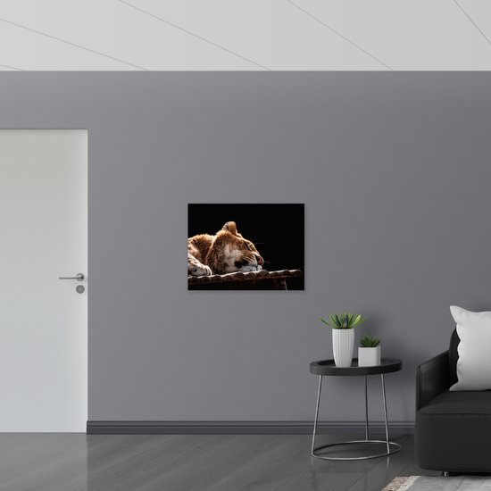 WallClassics - Drapeau - Lion Endormi - Teeuw - 80x60 cm Photo sur Drapeau Polyester