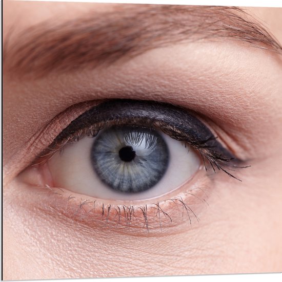 Dibond - Close-up van Opgemaakt Blauwkleurig oog - 80x80 cm Foto op Aluminium (Met Ophangsysteem)