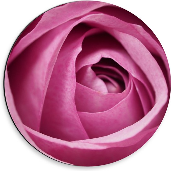 Dibond Muurcirkel - Close-up van Perfecte Roze Roos - 30x30 cm Foto op Aluminium Muurcirkel (met ophangsysteem)