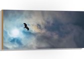 WallClassics - Hout - Vliegende Roofvogel in de Lucht - 100x50 cm - 9 mm dik - Foto op Hout (Met Ophangsysteem)