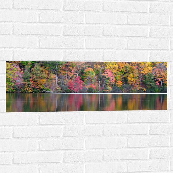 Muursticker - Verschillende Kleuren Bomen in Bos aan het Water - 90x30 cm Foto op Muursticker