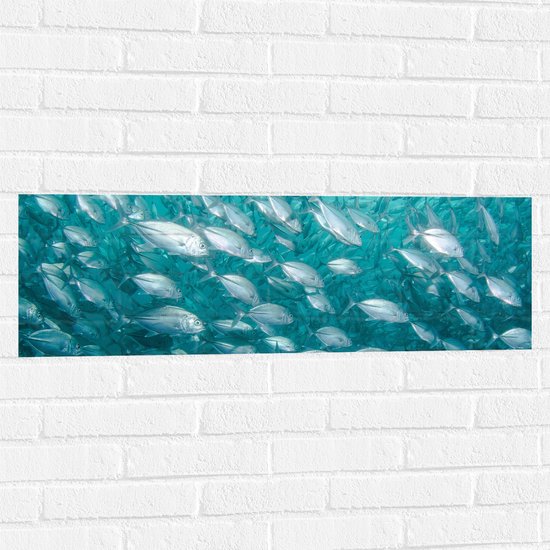WallClassics - Muursticker - School Vissen onderwater - 90x30 cm Foto op Muursticker
