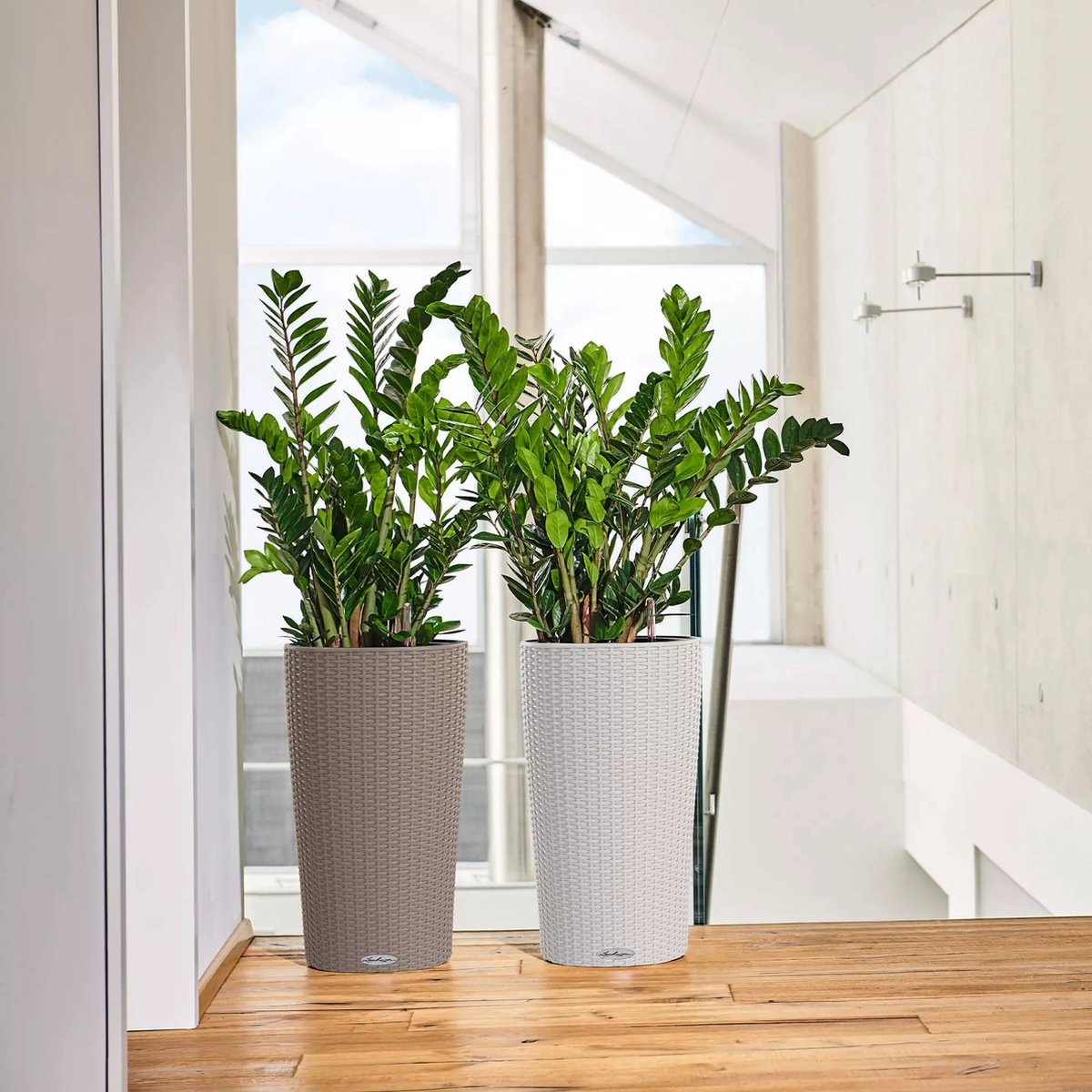 Lechuza cubico 30 - Goedkope plantenbakken kopen? | Korting tot 26
