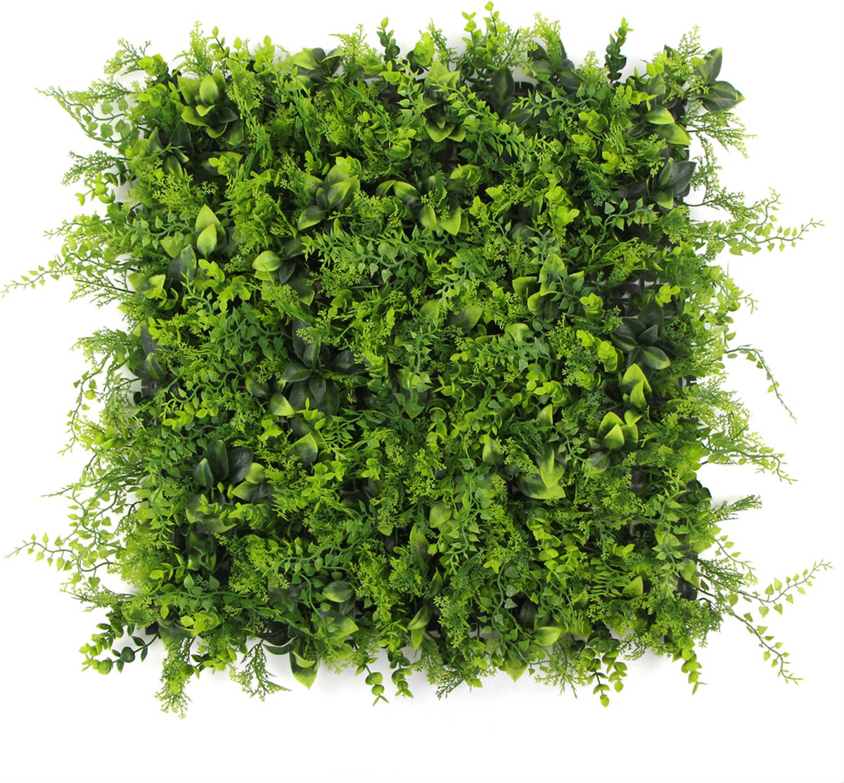 Tahiti | FOLY - 50 x 50 cm - Green wall voor decoratief binnen en buiten gebruik - Tropische kunsthaag - 5j UV garantie - JIVANA