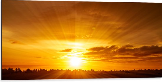 Dibond - Felle Zonsondergang aan de Horizon achter Bomen - 100x50 cm Foto op Aluminium (Met Ophangsysteem)