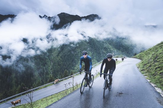Twee wielrenners op een bergweg met wolken, groen bos en vee.
