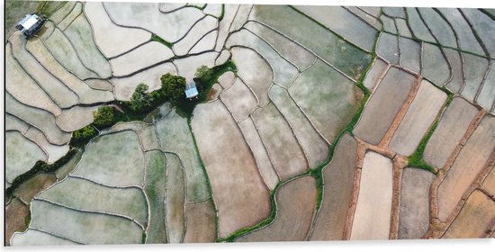Dibond - Bovenaanzicht van de Rijstvelden van Vietnam - 100x50 cm Foto op Aluminium (Met Ophangsysteem)