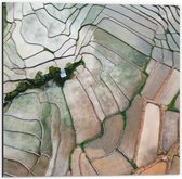 Dibond - Bovenaanzicht van de Rijstvelden van Vietnam - 50x50 cm Foto op Aluminium (Met Ophangsysteem)