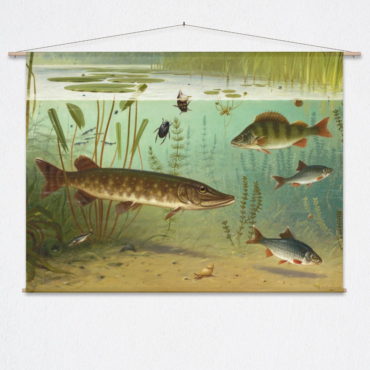 Wandkleed Zoetwatervisschen II van M.A. Koekkoek - XL: Landscape 175 x 130 cm