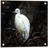 WallClassics - Tuinposter – Grote Witte Vogel tussen Dichtgroeiende Takken - 50x50 cm Foto op Tuinposter (wanddecoratie voor buiten en binnen)