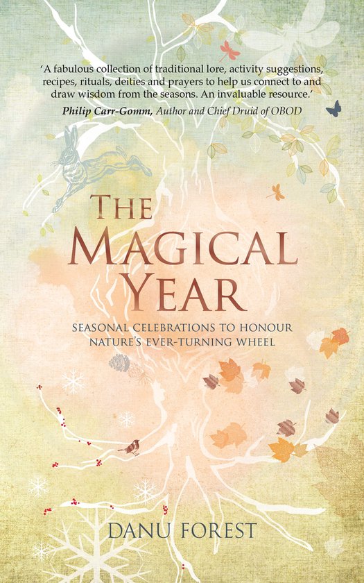 The Magical Year - cover