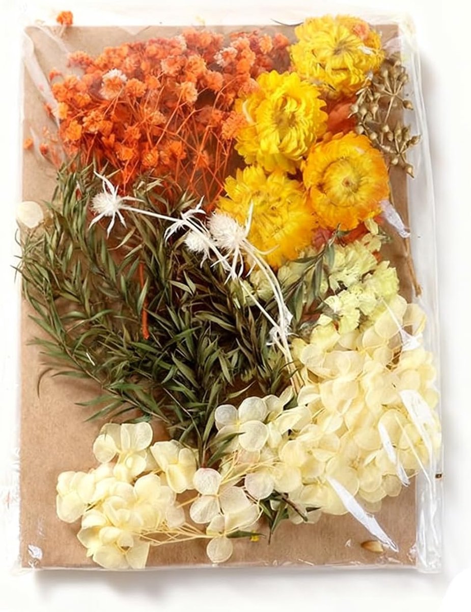 Gedroogde bloemen, Gedroogde bloemen Knutselen, voor doe-het-zelf kunst Hars Scrapbooking Sieraden maken - ShopVlot