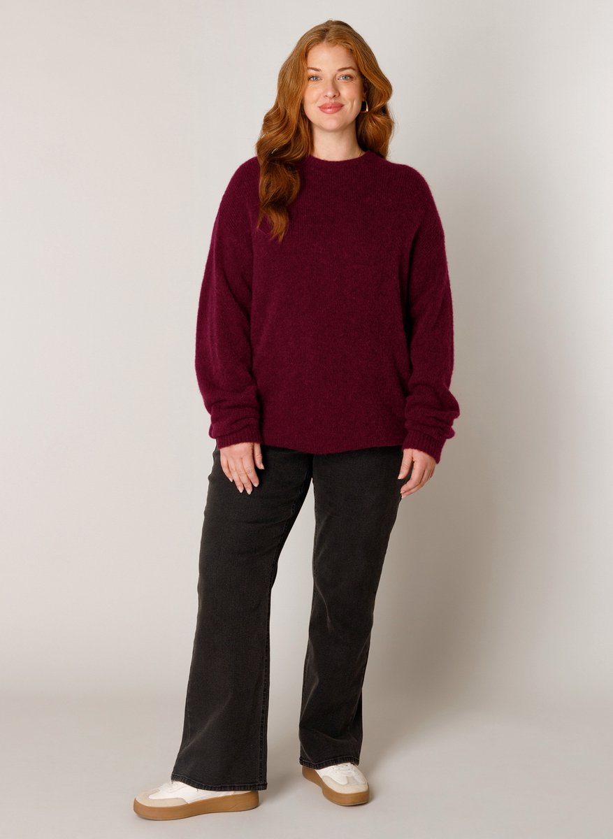BASE LEVEL CURVY Yanara Tops - Wine Red - maat X-0(44)