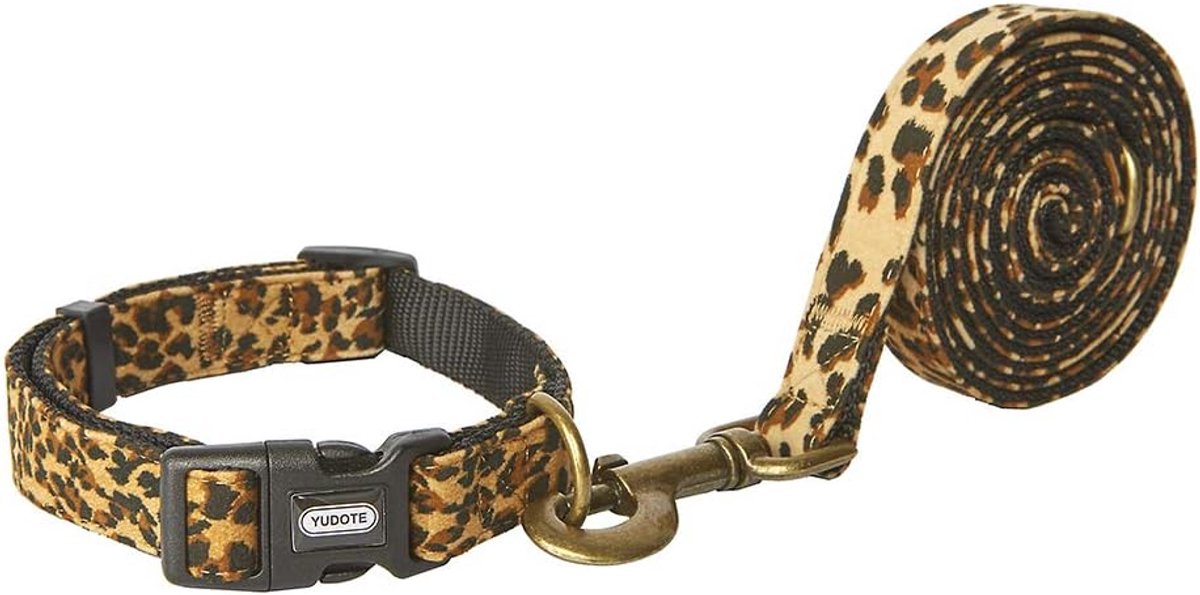 Basic Nylon Dog Collar and Leash Set, Small Soft Strong Collars, Leash Combo with Premium Flake Fabric for Small - ShopVlot