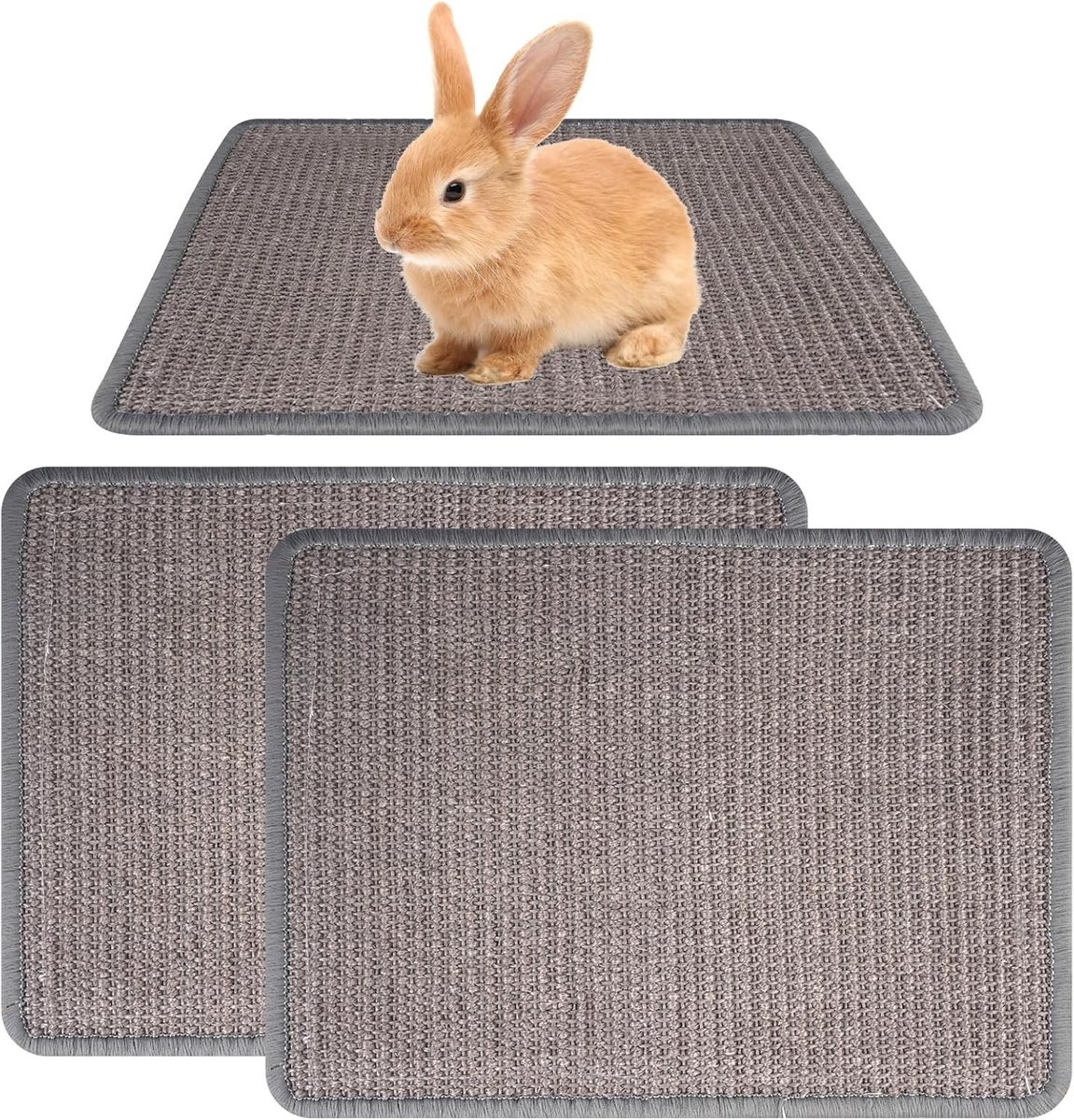 Knaagdier Krabmat van Natuurlijk Sisal, 40 x 30 cm, voor Konijnen, Cavia's en Kittens, Ideaal voor Krabben, Slapen en Nestelen, Set van 2