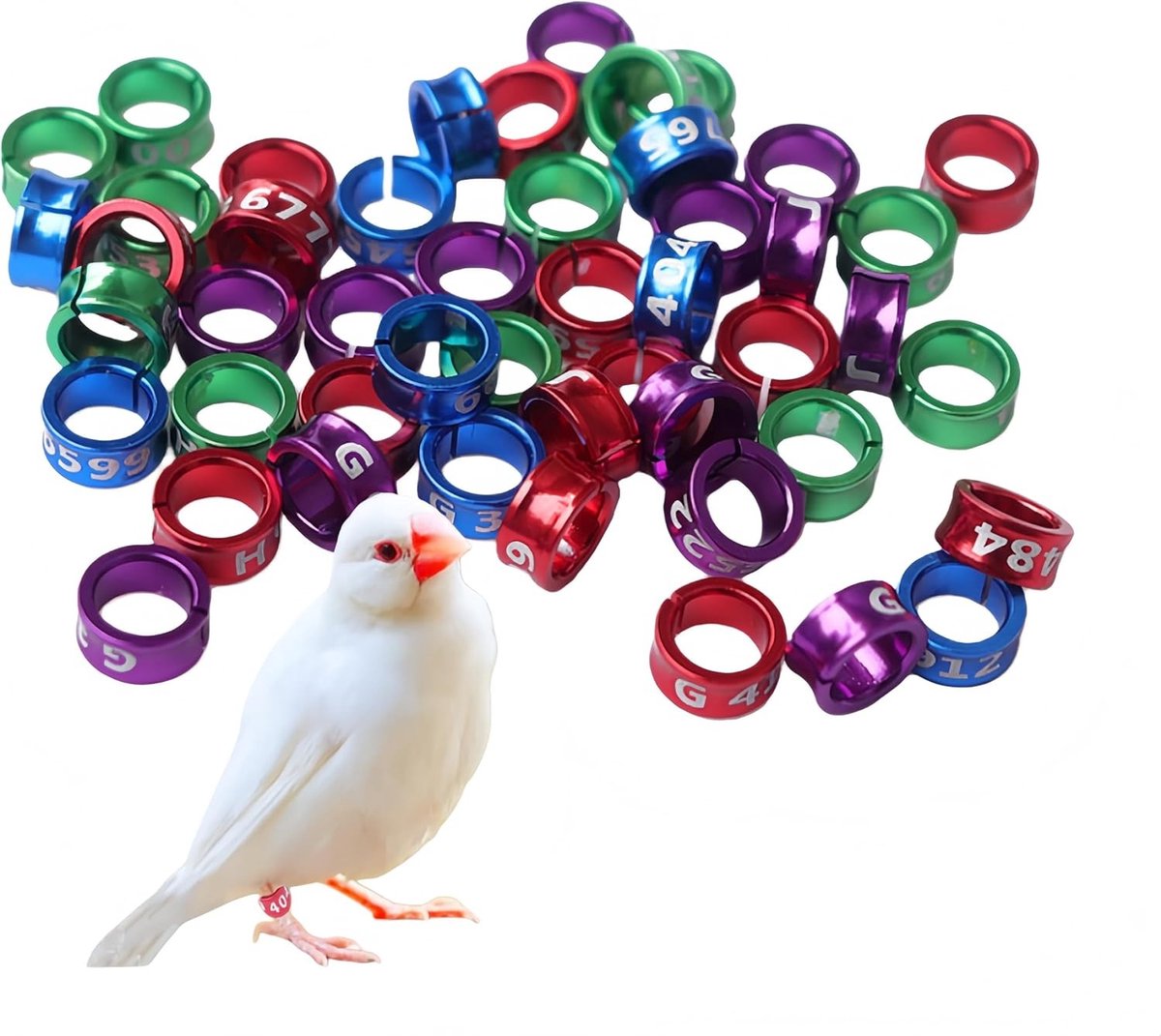 20 Stuks Voetbanden voor Vogels, Binnen Diameter Ongeveer 6mm, Geschikt voor Papegaaien, Duiven en Kuikens in Diverse Kleuren