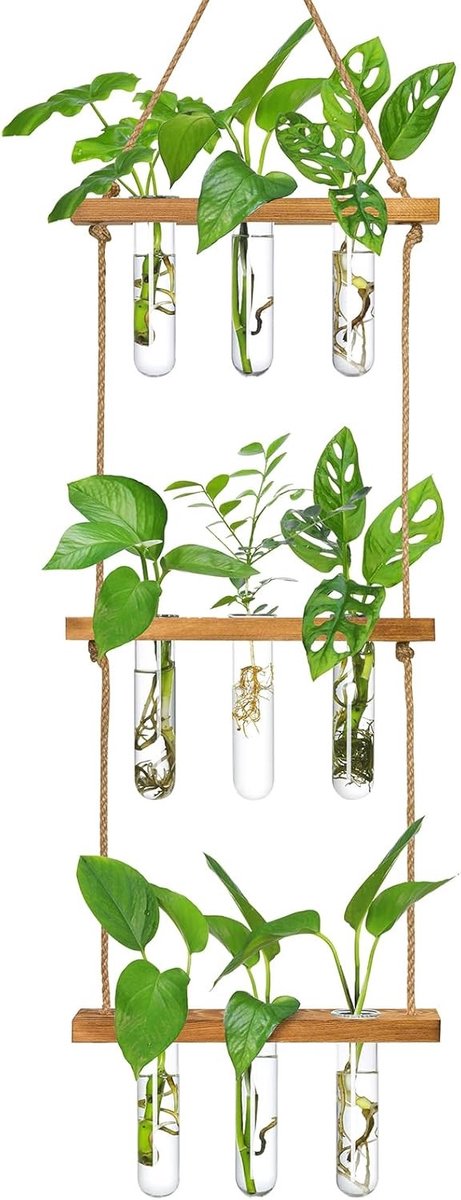 Muurhangend Groeistation met 3-laags Houten Stand, 9 Proefbuizen voor Hydroponische Planten en Stekken, Ideaal voor Plantenverzorging en Decoratie