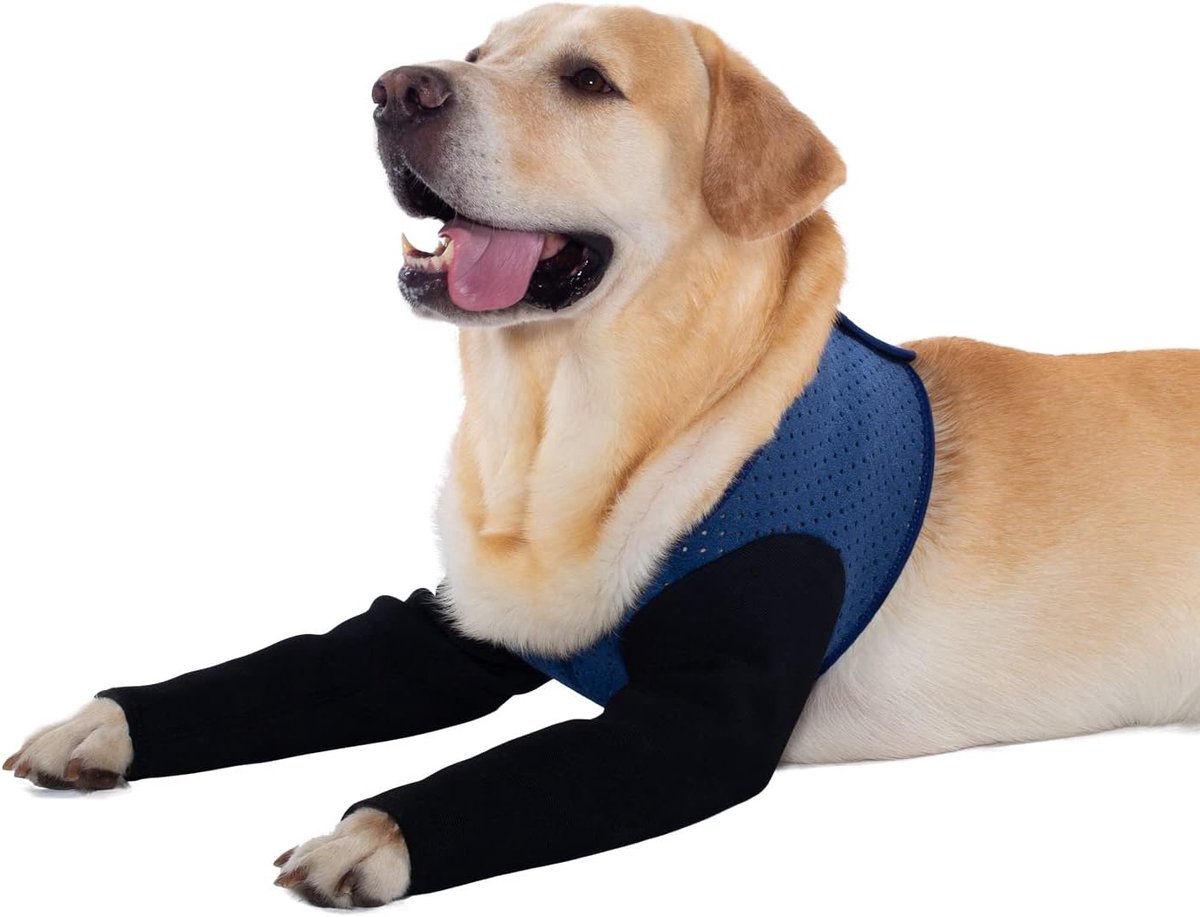 Coodeo Dog Recovery Sleeves, Cone Collar Alternative Wear-resistant Dog Recovery Suit, Washable 2.5mm Thick and - ShopVlot