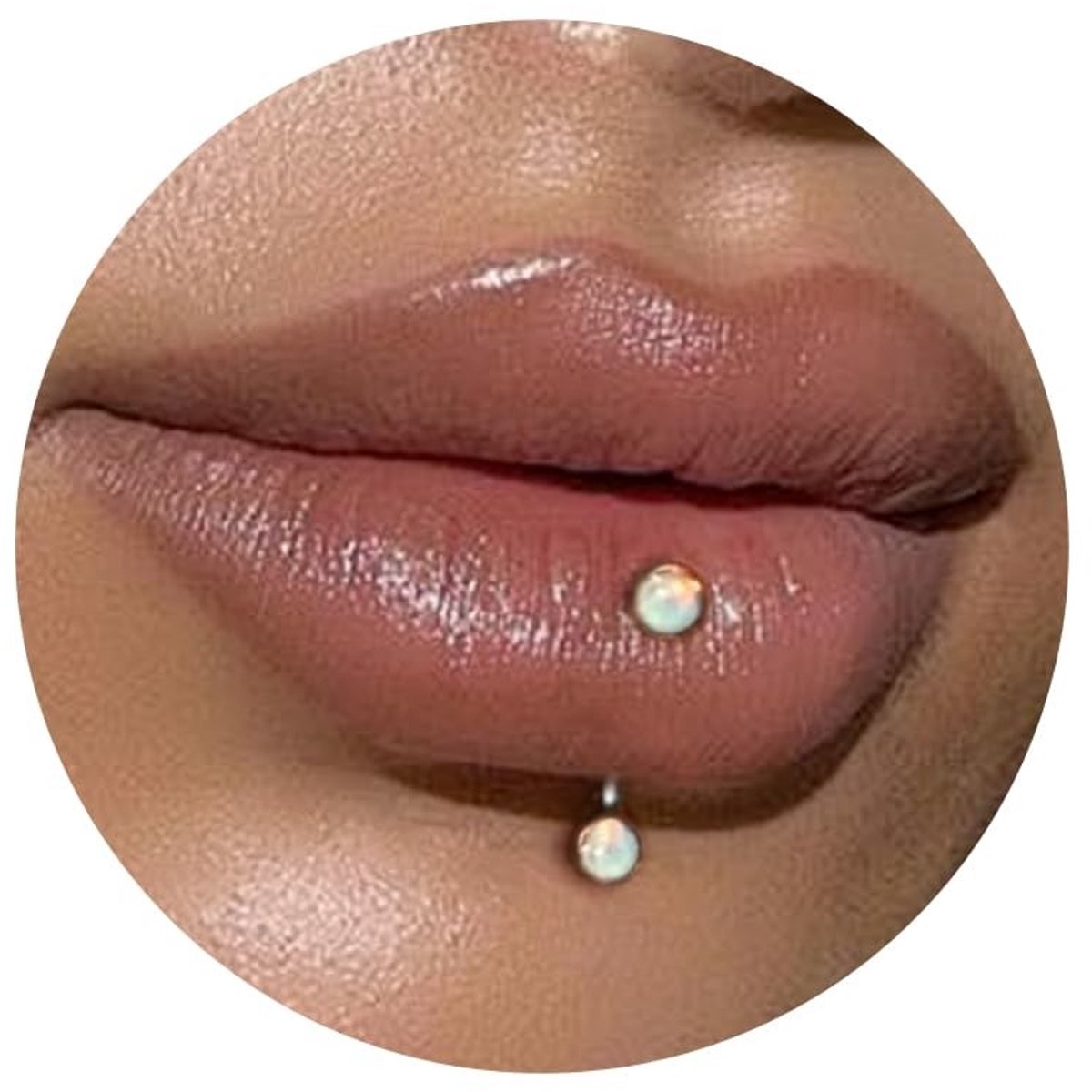 Solidchoice - Titanium Curved Barbell voor Piercings in Diverse Maten