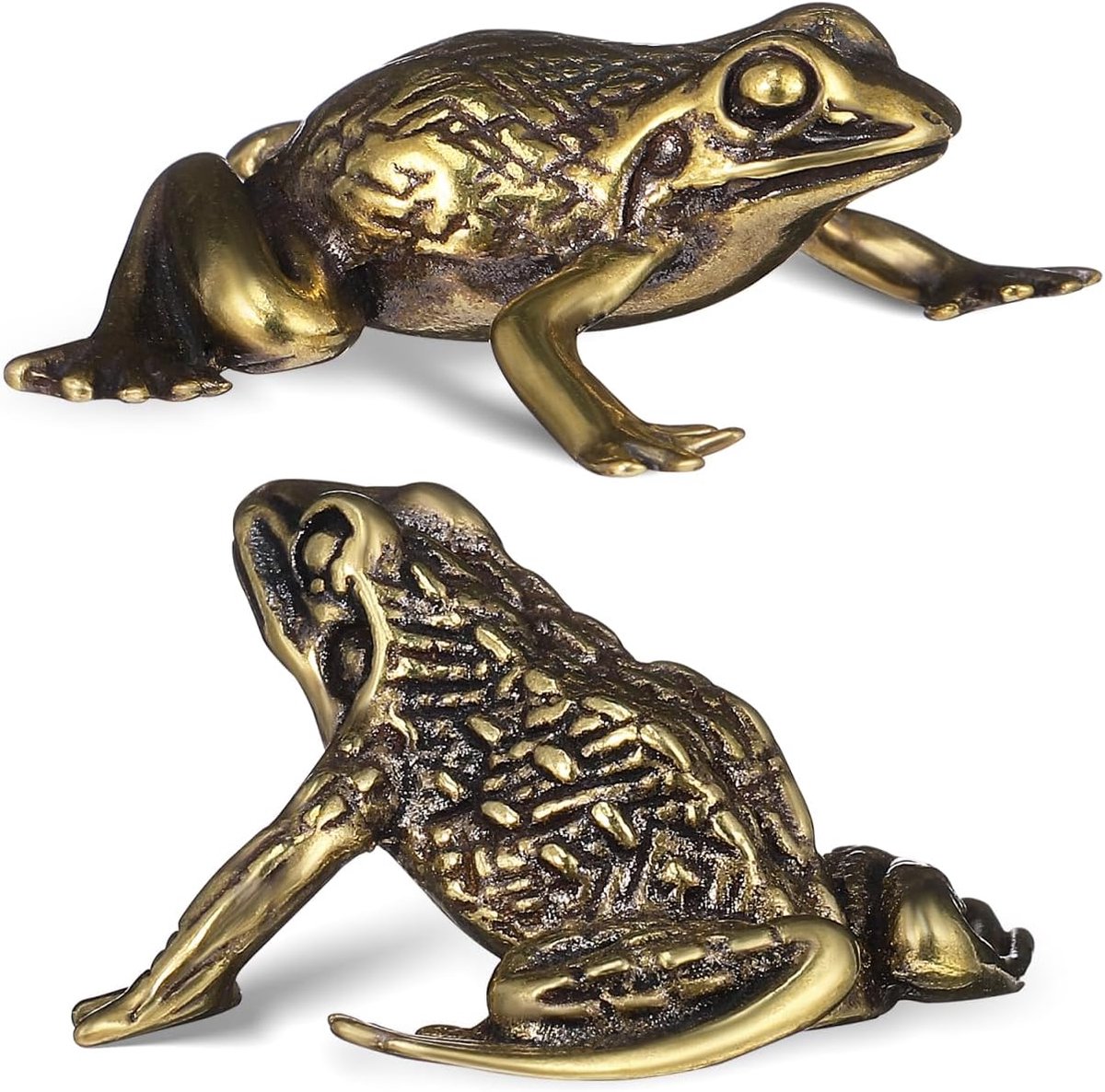 HOMSFOU 2 Pieces Frog Figure Brass Sculpture Decorative Figure Chinese Coins Feng Shui Decorative Object Lucky Charm - ShopVlot