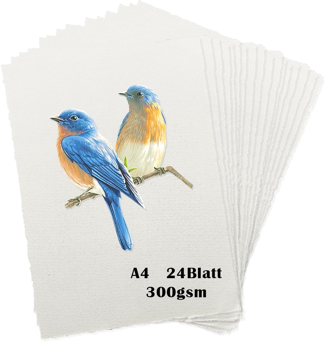 Solidchoice - Pack van 24 A4 Waterverf Papier 300 g/m² Handgemaakt
