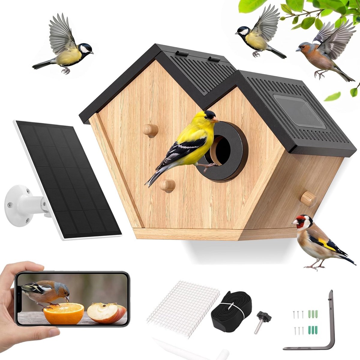 Solidchoice - Slimme Vogelhuis met Camera en Zonne-energie