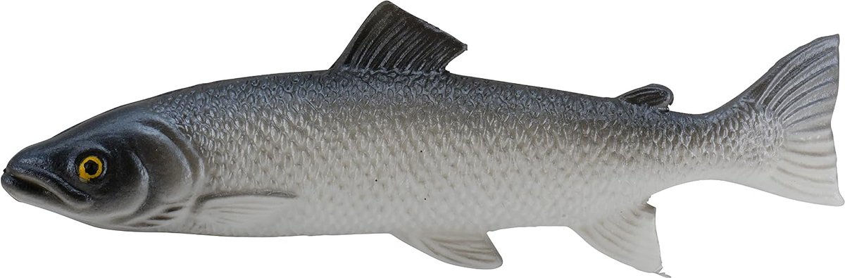 Klocke Dekorationsbedarf Realistic food dummy - Artificial marine articles - Food Dummy / Plastic food - ShopVlot