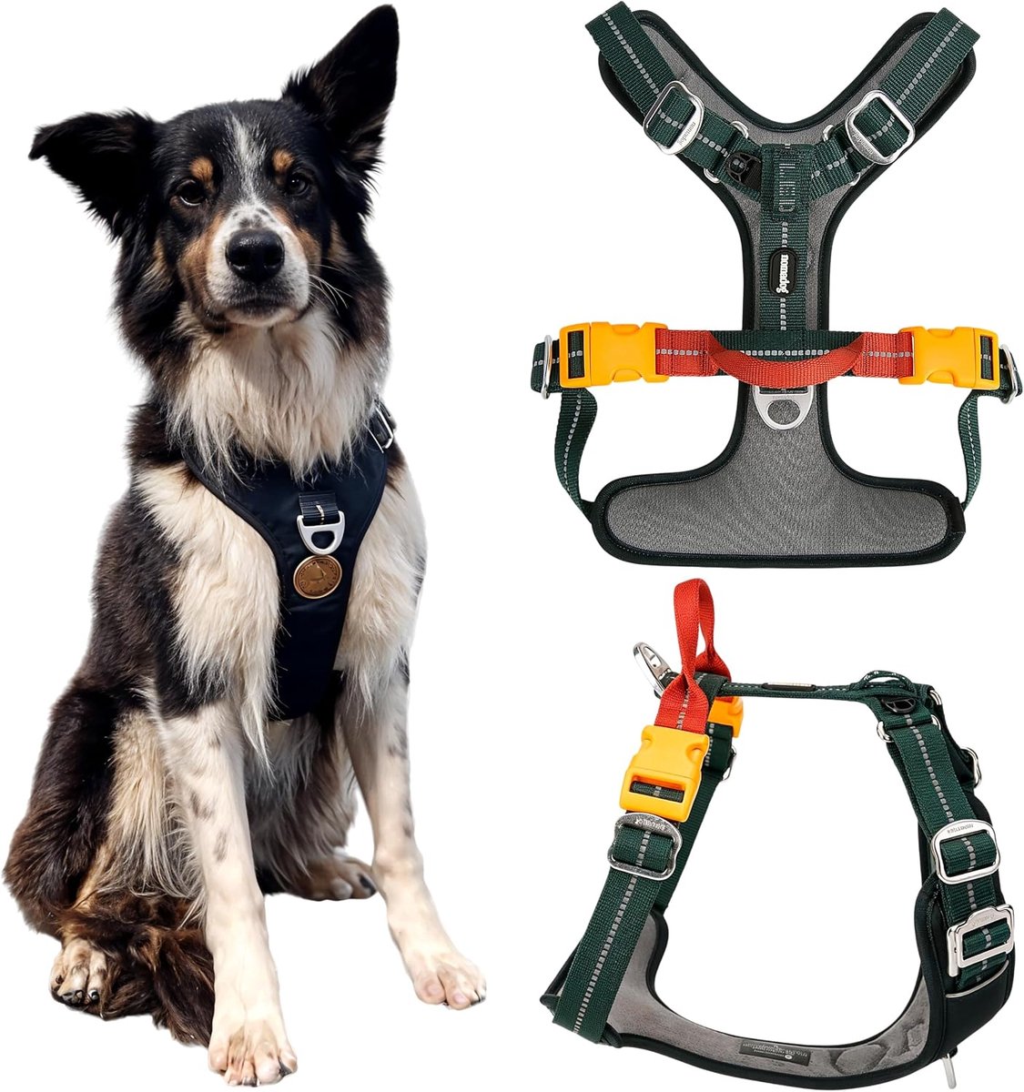 Nomadog Trailblazer no pull harness for dogs with handle - ideal for active dogs and outdoor adventures - ShopVlot