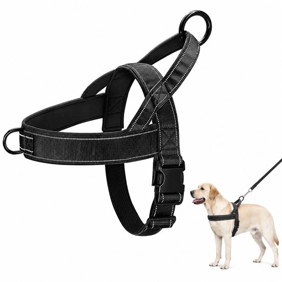 Harnais noir pour chien avec détails réfléchissants et boucle. Un petit caniche labradoodle le porte.