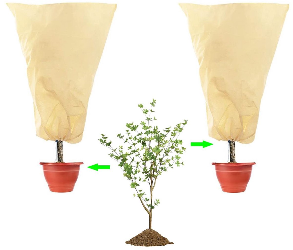 Solidchoice - 2 Stuks Winterbescherming voor Planten