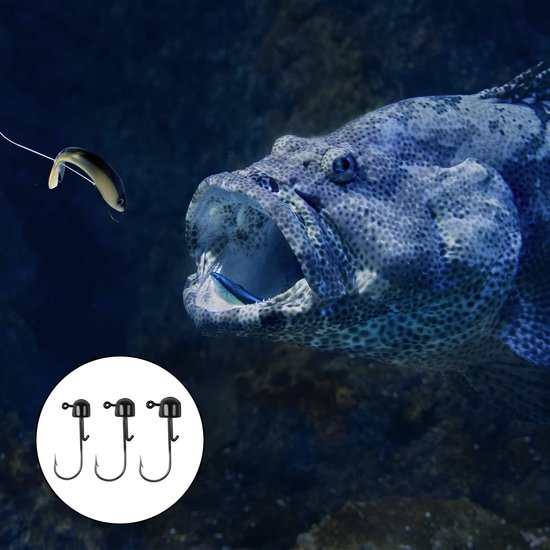 24 Stuks Paddestoel Jig Heads, 1,6g/2g/3g Jig Koppen voor Vissen Vishaken voor Zacht Kunstaas, Ijzer Jig Ball Vishaak voor Zoet Zoutwater Visliefhebbers (Zwart) van Merkloos — afbeelding 4
