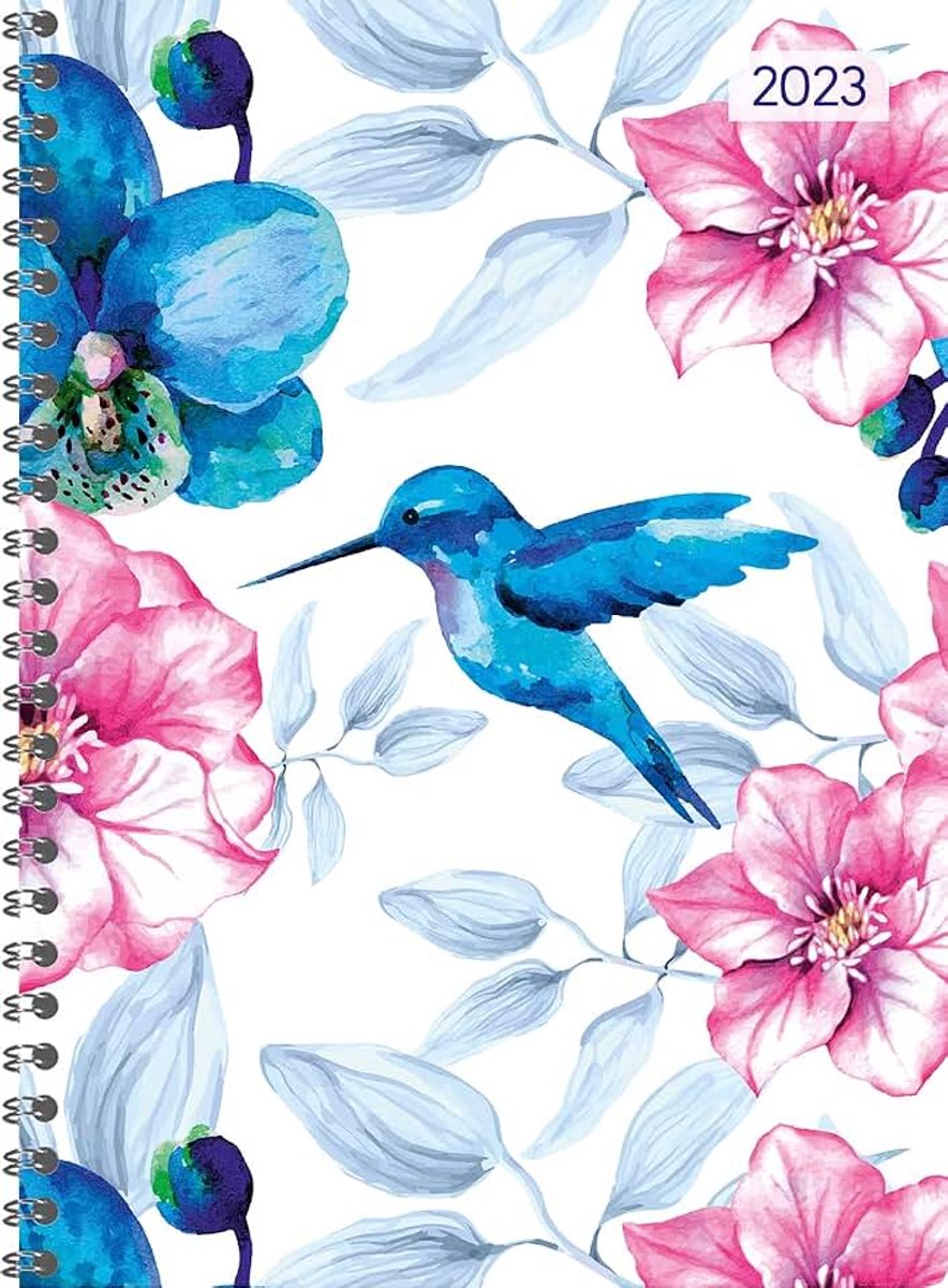 Ringbuch Hummingbird 2023 - Taschen-Kalender A5 (15x21 cm) - Schüler-Kalender - Weekly - Ringbindung - 128 Seiten - Alpha Edition