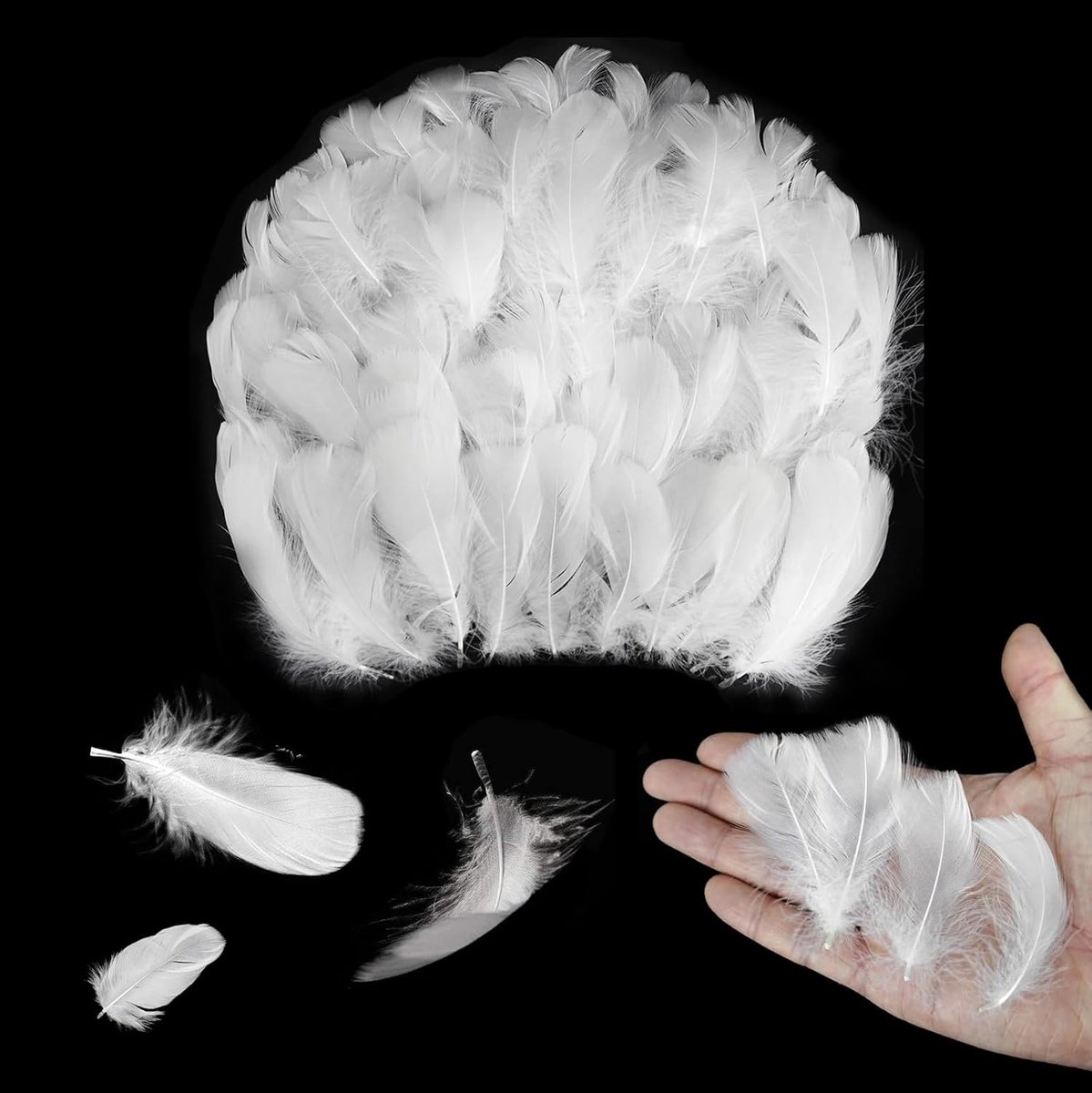 Veren om te knutselen, natuurlijke knutselveren, knutselveren, decoratie, indianenveer voor dromenvangers, kostuums, doe-het-zelf knutselwerk, bruiloftsdecoraties, Halloween, carnaval