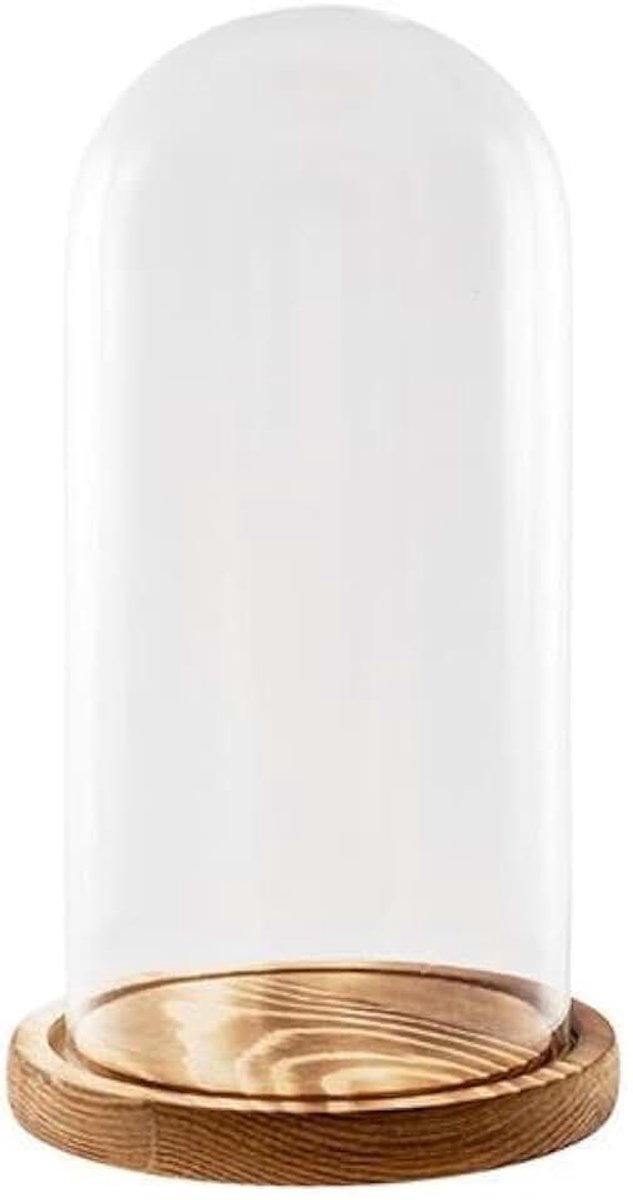 Fanal van transparant glas met houten sokkel, 15 x 15 x 26 cm