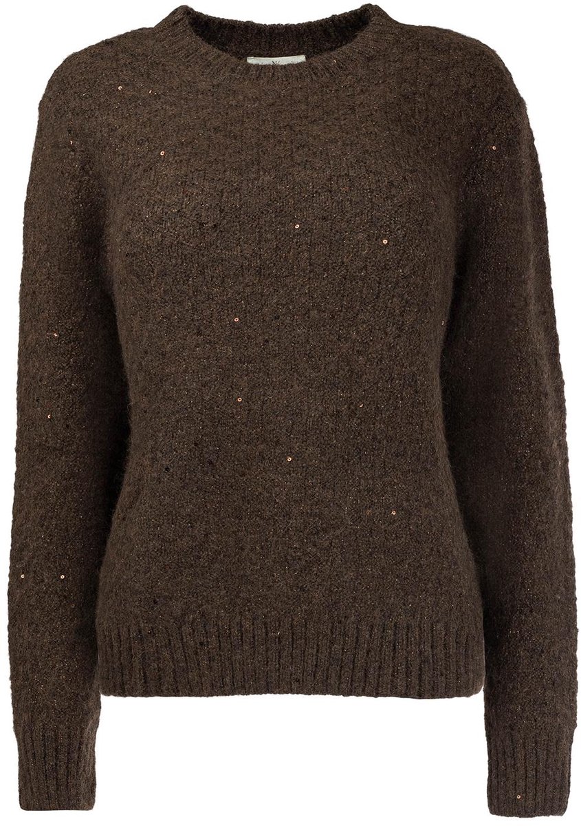 NED Trui Seasonable Glacier Ls Rmj Sequin Knit 26w U350 01 Ganache Brown Dames Maat - XL