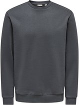 ONLY & SONS ONSCERES CREW NECK NOOS Heren Trui - Grey Pinstripe
