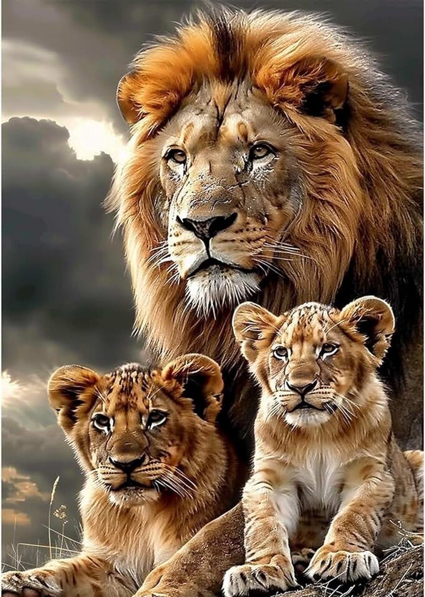5D Wilde Dieren Diamant Schilderij Set voor Volwassenen Majestueuze Leeuwenfamilie DIY Volledige Boor Dieren Handwerk Woonkamer 30x40cm