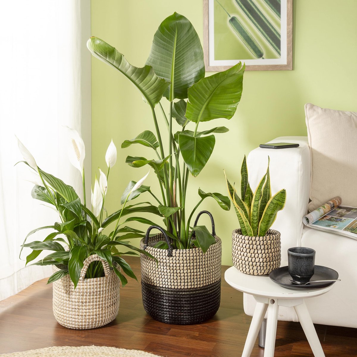 Mandmand/mand-plantenbak/mandpot met handgrepen van zeegras kleur: Nature Black, 39 cm diameter, 34 cm hoog, 38,6 l vol.