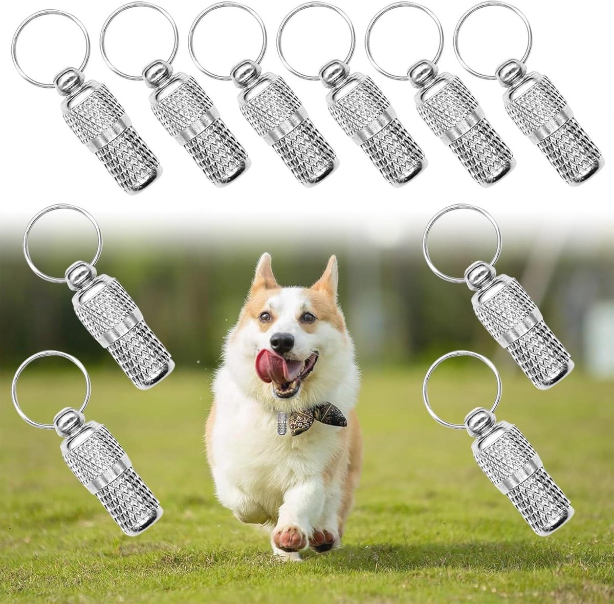 Huisdier anti-verlies hanger - Huisdier identificatieplaatje/adresplaatje - Halsbandhanger - 8 x 21 mm - 10 stuks - Zilver