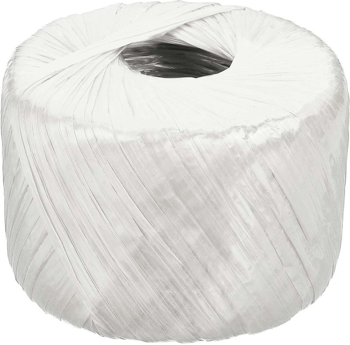 400m/1312Ft Polyester Nylon Plastic Touw, Twine Huishoudelijke Bundels Touwen Roll voor Tuinieren Verpakking Crafting DIY, Wit